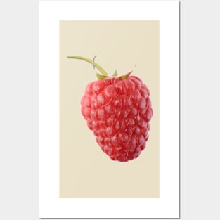 Raspberry Posters and Art